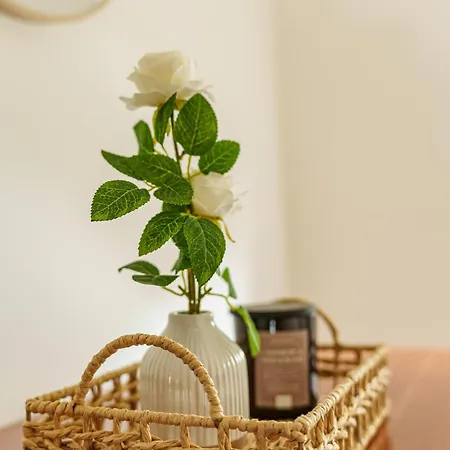 Sucasa Full House With Terrace 5 Min From Centre Apartment *